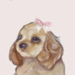 Meet your Posher, Diana